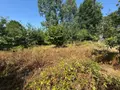Terrain a batir a vendre Saint-Thuriau 56300 Morbihan 56 60420 euros 5LR 004