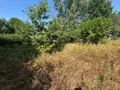 Terrain a batir a vendre Saint-Thuriau 56300 Morbihan 56 60420 euros 5LR 002