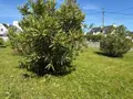 Maison a vendre Quimper 29000 Finistère 29 91 m2 8 pièces 192000 euros NJ38 003