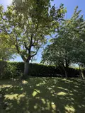Maison a vendre Cholet 49300 Maine-et-Loire 49 150 m2 6 pièces 210000 euros 49055-99 002