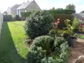 Maison a vendre Annezin 62232 Pas-de-Calais 62 134 m2 6 pièces 207500 euros 62023-3975 003