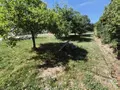 Terrain a batir a vendre Férel 56130 Morbihan 56 95850 euros 56014-818 002