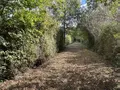 Terrains de loisirs bois etangs a vendre Beaumont-sur-Sarthe 72170 Sarthe 72 37640 euros 72126-3245 005