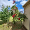 Maison a vendre Monhoudou 72260 Sarthe 72 124 m2 6 pièces 178880 euros 72085-2273 005