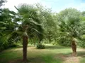 Maison a vendre Thun-Saint-Martin 59141 Nord 59 297 m2 6 pièces 898560 euros 59079-1662 010