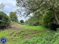 Terrains de loisirs bois etangs a vendre Montaudin 53220 Mayenne 53 13500 euros 53004-1253 010