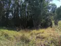 Terrains de loisirs bois etangs a vendre Barrou 37350 Indre-et-Loire 37 17850 euros 37082-314 003