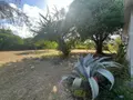 Maison a vendre Le Vauclin 97280 Martinique 972 159 m2 9 pièces 1080000 euros 97204-317 037