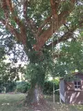 Maison a vendre Baden 56870 Morbihan 56 140 m2 753272 euros 56005-887 007