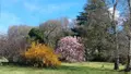 Maison a vendre Rouillon 72700 Sarthe 72 174 m2 8 pièces 357000 euros 72006-692 002