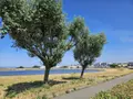 Maison a vendre Étel 56410 Morbihan 56 236 m2 8 pièces 830600 euros 56027-727 012