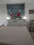 Appartement a vendre Vannes 56000 Morbihan 56 52 m2 2 pièces 216642 euros 56005-895 007