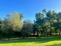 Maison a vendre Collorec 29530 Finistère 29 62 m2 2 pièces 211000 euros 29064-2886 013