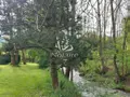 Terrains de loisirs bois etangs a vendre Saillagouse 66800 Pyrénées-Orientales 66 40000 euros 66060-23 005