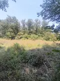 Terrains de loisirs bois etangs a vendre Marsan 32270 Gers 32 15000 euros 32002-1429 003