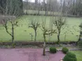 Maison a vendre Noues de Sienne 14380 Calvados 14 96 m2 4 pièces 107000 euros 14076-5977 014