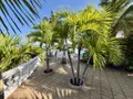 Maison a vendre Saint-Paul 97460 La Réunion 974 150 m2 6 pièces 1700000 euros 97409-297 018