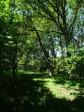 Maison a vendre Maisoncelles-du-Maine 53170 Mayenne 53 232 m2 9 pièces 385000 euros 53079-1415 008