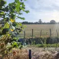 Maison a vendre La Ferté-Bernard 72400 Sarthe 72 134 m2 5 pièces 228800 euros 72085-2279 009