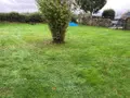 Maison a vendre Rânes 61150 Orne 61 100 m2 5 pièces 54050 euros 61030-1303 014