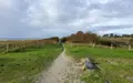 Appartement a vendre Fouesnant 29170 Finistère 29 51 m2 3 pièces 189000 euros 29066-3830 014