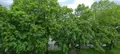 Appartement a vendre Compiègne 60200 Oise 60 47 m2 2 pièces 99000 euros 60051-840 006