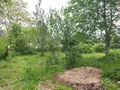 Maison a vendre Locmaria-Grand-Champ 56390 Morbihan 56 171 m2 5 pièces 356722 euros 56005-878 025