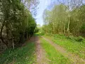 Terrains de loisirs bois etangs a vendre Amiens 80000 Somme 80 135000 euros 80011-5566 004