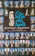 Immeuble de rapport a vendre Carnoët 22160 Côtes-d'Armor 22 330 m2 241500 euros 29066-3764 010