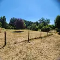 Maison a vendre Cherré-Au 72400 Sarthe 72 93 m2 4 pièces 197600 euros 72085-2166 004