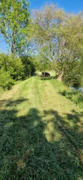 Terrains de loisirs bois etangs a vendre Entrammes 53260 Mayenne 53 28600 euros 53005-2091 004