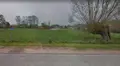 Terrain a batir a vendre Agnières 62690 Pas-de-Calais 62 39800 euros 62135-852 001
