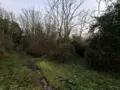 Terrains de loisirs bois etangs a vendre Ames 62190 Pas-de-Calais 62 28000 euros 62050-1772 003