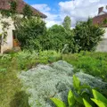 Maison a vendre Avezé 72400 Sarthe 72 87 m2 5 pièces 97520 euros 72085-2170 017