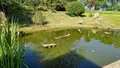 Maison a vendre Plougonven 29640 Finistère 29 159 m2 8 pièces 367850 euros 29083-1615 014