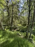 Terrains de loisirs bois etangs a vendre Noues de Sienne 14380 Calvados 14 168800 euros 14076-5956 011