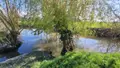 Maison a vendre Marans 17230 Charente-Maritime 17 89 m2 3 pièces 227240 euros 17015-505 002