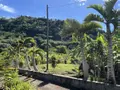 Maison a vendre Entre-Deux 97414 La Réunion 974 66 m2 3 pièces 367500 euros 97411-346 004