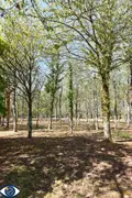 Terrains de loisirs bois etangs a vendre Vaiges 53480 Mayenne 53 69000 euros 53004-1365 004