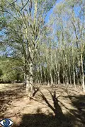 Terrains de loisirs bois etangs a vendre Vaiges 53480 Mayenne 53 69000 euros 53004-1365 006