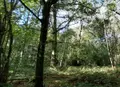 Terrains de loisirs bois etangs a vendre Le Bosc du Theil 27370 Eure 27 37000 euros 27061-1513 001