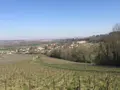 Terrain a batir a vendre Courcelles-Sapicourt 51140 Marne 51 97000 euros 51066-1435 004