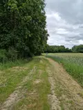 Terrains de loisirs bois etangs a vendre Val d'Oust 56460 Morbihan 56 1790 euros 56050-712 002