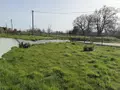 Maison a vendre Valcanville 50760 Manche 50 175 m2 7 pièces 413800 euros 50040-704 021
