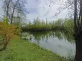 Terrains de loisirs bois etangs a vendre Amiens 80000 Somme 80 135000 euros 80011-5566 008