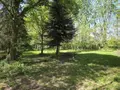 Terrains de loisirs bois etangs a vendre La Roche-Neuville 53200 Mayenne 53 95700 euros 53073-1758 016