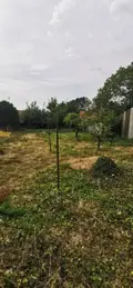 Maison a vendre Bertincourt 62124 Pas-de-Calais 62 60 m2 3 pièces 49900 euros 62130-2300 006