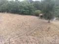 Maison a vendre Huelgoat 29690 Finistère 29 121 m2 8 pièces 158250 euros 29064-2872 016