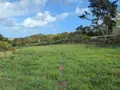 Terrain a batir a vendre Plougasnou 29630 Finistère 29 345200 euros 29086-1777 003