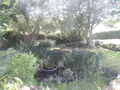 Viager maison Trébeurden 22560 Côtes-d'Armor 22 110 m2 5 pièces 200000 euros 22069-1946 016